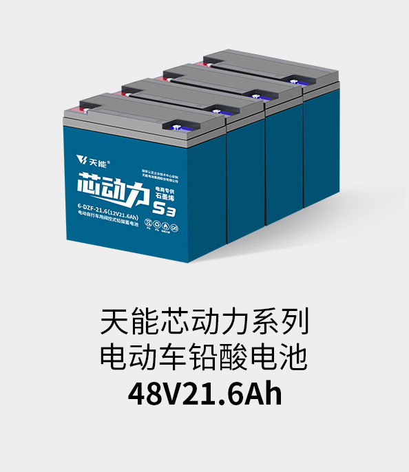 乐橙游戏电池48v20ah