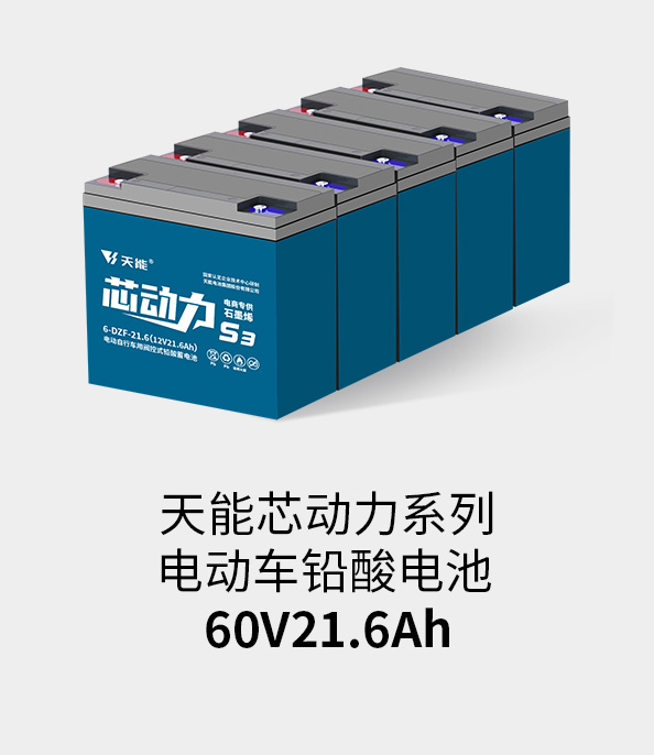 乐橙游戏电池60v20ah