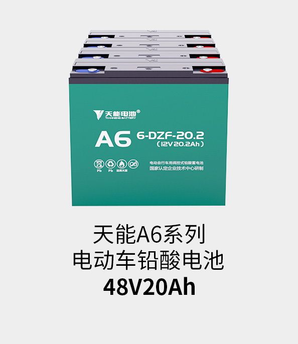 乐橙游戏电池48v20ah