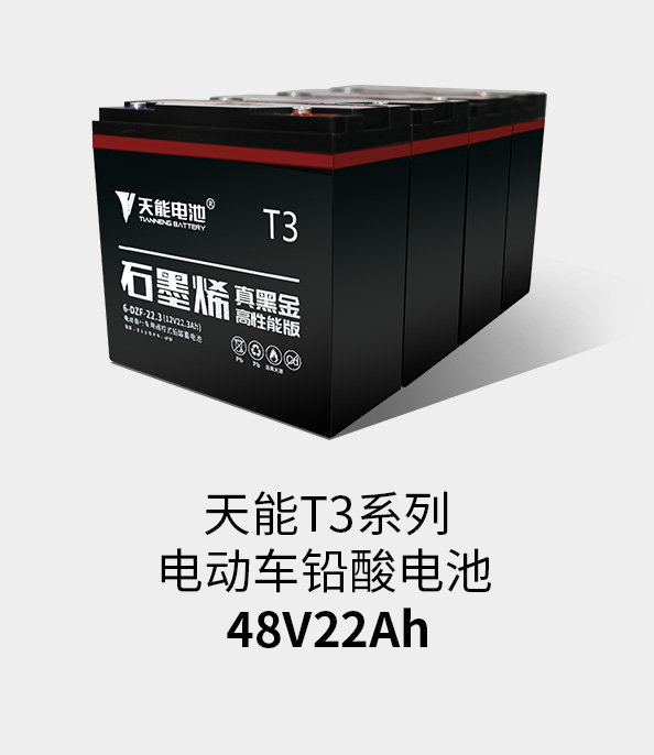 乐橙游戏T3系列48v22ah