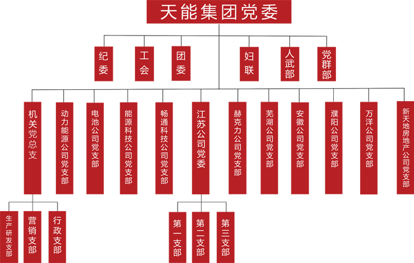 乐橙游戏建团党委组织架构